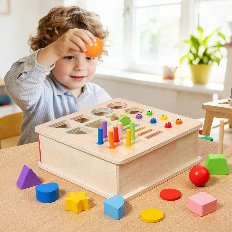 Educational Toys