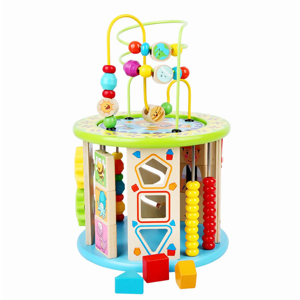 Wooden Puzzle Treasure Box 10-in-One